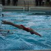 Змагання з плавання (Універсіада м.Києва)
