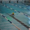 Змагання з плавання (Універсіада м.Києва)
