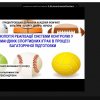 ІV Міжнародна науково-практична онлайн-конференція 