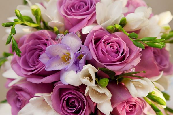 flowers bouquet roses wallpaper download